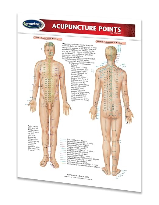 Permacharts Acupuncture Points Chart Guide - Medical Quick Reference Guide